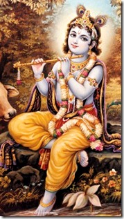 Lord Krishna