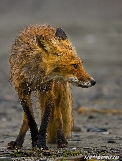 [365324%255B3%255D.jpg]