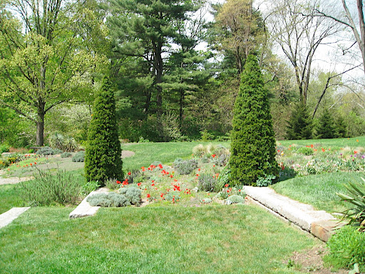 This gravel bed and slope contains my most favorite echinacea - Echinacea tenesseensis 'Rocky Top', but it won't bloom til summer.