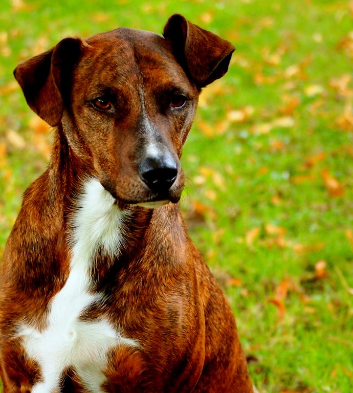 [6%2520Nov%25207%255B3%255D.jpg]