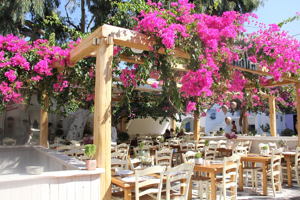 [Wedding_Honeymoon%2520482%255B3%255D.jpg]