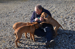 death by puppy licking? is it possible? DSC_3714.JPG