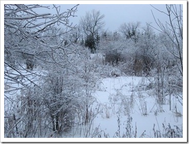 20120127_snow-ice_009 20120127_snow-ice_009