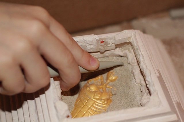 IMG_8567