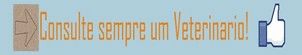 Consulte um Veterinário! Consulte um Veterinário!