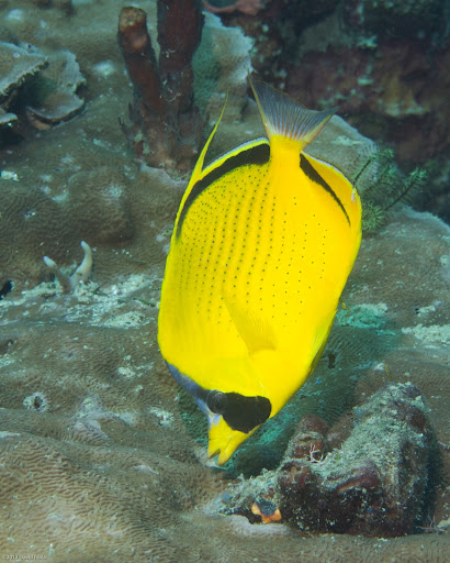 P7034457
