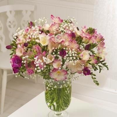 [25%2520Pink%2520Guernsey%2520Freesias%2520by%2520post%2520with%2520free%2520delivery%255B4%255D.jpg]