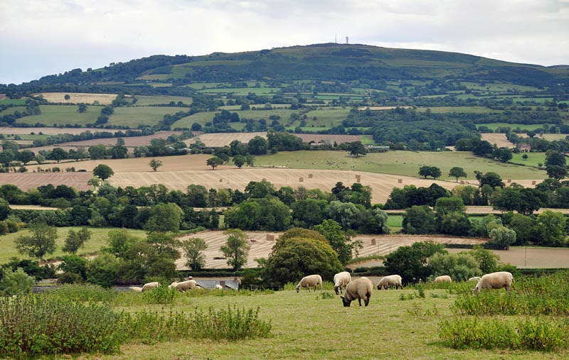 [Brown%2520Clee%255B3%255D.jpg]