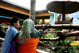 Langkawi Wildlife Park Langkawi Wildlife Park