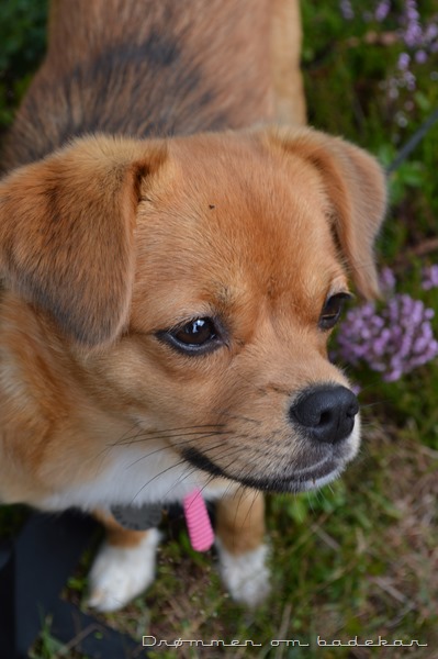 DSC_0035 DSC_0035