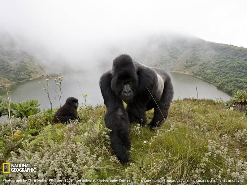 PHOTOS FROM NATIONAL GEOGRAPHIC