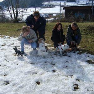 Junghundekurs Feb.März