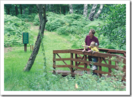 Beautiful Places to Enjoy Countryside