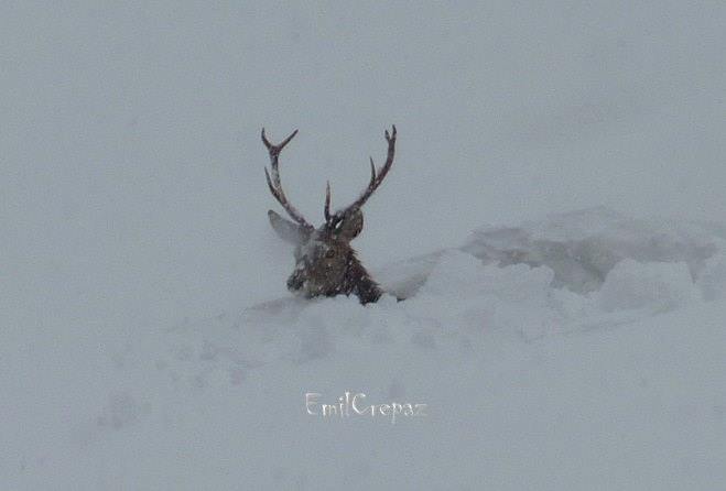 1551488 649931908396239 1988139869 n