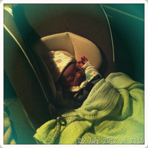 IMG_3733 IMG_3733