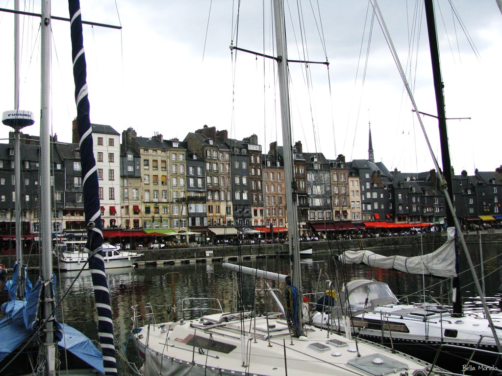 [IMG_00439.jpg]