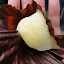 SF Street Food Fest  Kung Fu Tacos Lemon Mochi.JPG