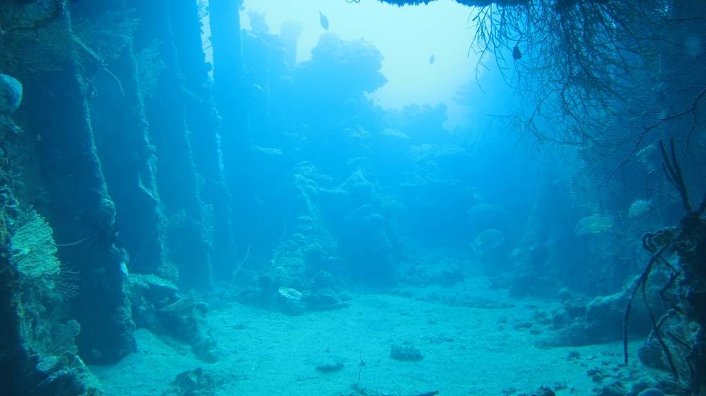 [IMG_2825%255B3%255D.jpg]
