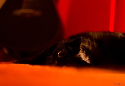 IMG_20120127_011958_1014