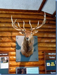 2293 Manitoba Riding Mountain National Park - Visitor Centre Wasagaming