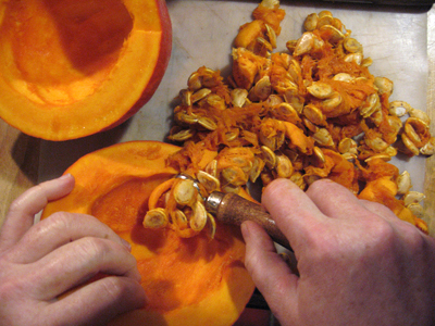 Pumpkin seeds can be saved for roasting; I didn't experiment with these, though. Pumpkin seeds can be saved for roasting; I didn't experiment with these, though.