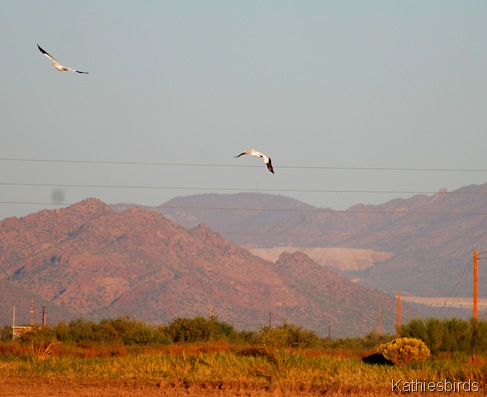 6. avra valley-kab