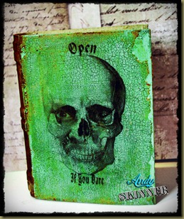 andy skinner skull art altered book