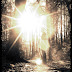 DSCN4358.JPG