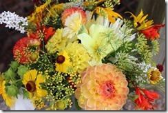 IMG_3706 IMG_3706