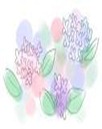image8CAU59FAY image8CAU59FAY