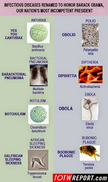 [iotw%2520renamed%2520pathogens%255B4%255D.jpg]