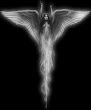 Beauty Of Angel