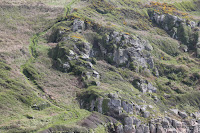 IMG_7944.JPG Photo
