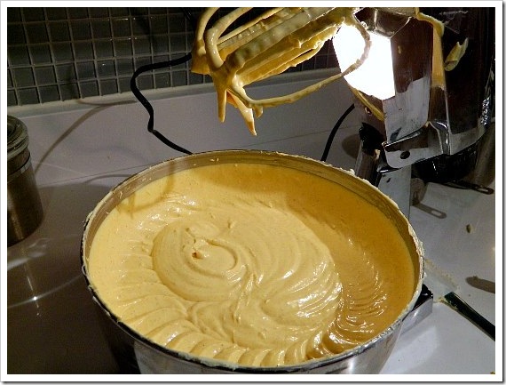 Cheesecake Mixed (550x413) (2)