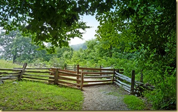 2012-08-04 - Blue Ridge Parkway - MP 46-0 (109)