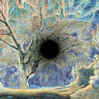 Kraków 07. 03. 2011 r - Wawel 116-4.jpg Kraków 07. 03. 2011 r - Wawel 116-4.jpg