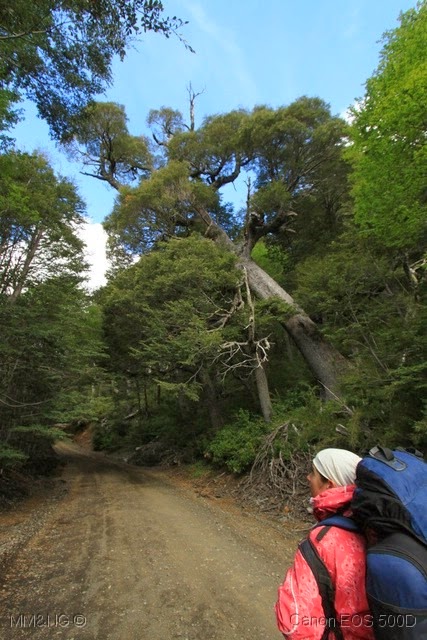 [IMG_2588%255B11%255D.jpg]