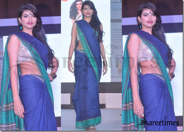 Traditional_Saree