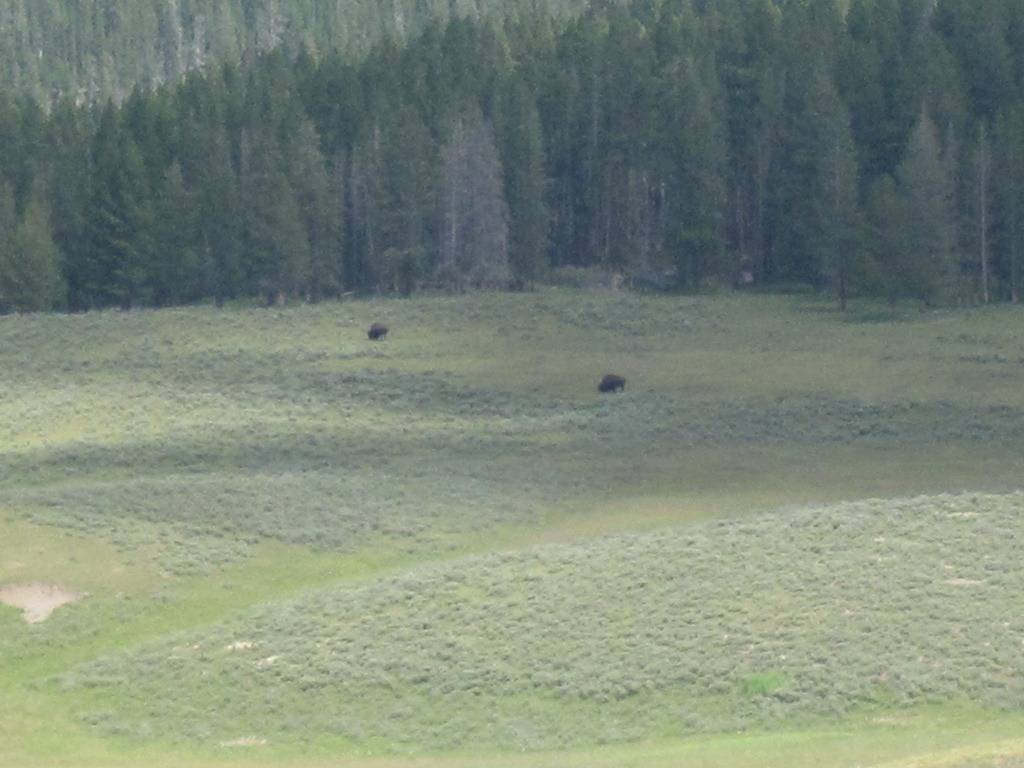 [IMG_1257%255B4%255D.jpg]