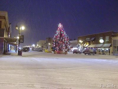 Christmas Tree in Park Rapids 2008