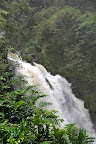 DSC_5957.JPG