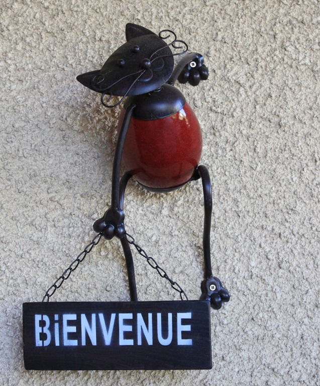 [IMG_9049%255B3%255D.jpg]