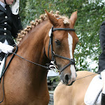 pcn-turnier-2011-022.jpg