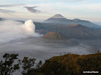 Bromo