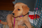 DSC_6615.JPG