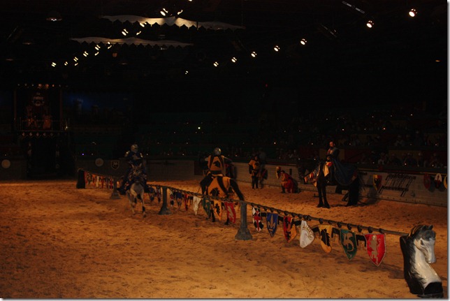 IMG_5010 IMG_5010