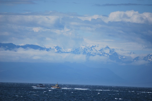 [Vic%2520South%2520view%2520Olympia%255B3%255D.jpg]
