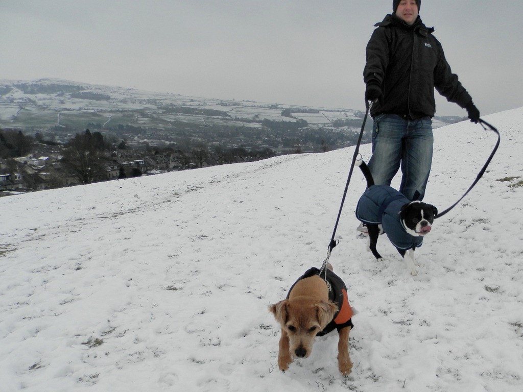 [matt%2520dogs%255B4%255D.jpg]