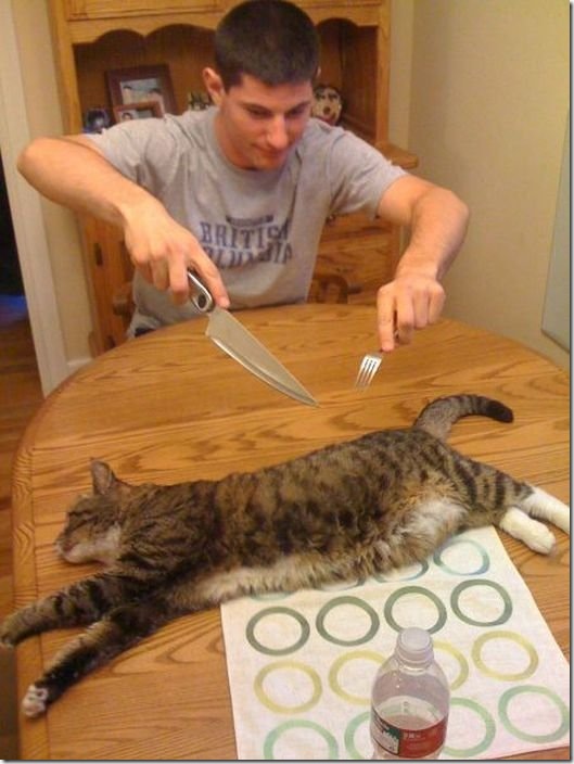viral-picdump-pics-979608