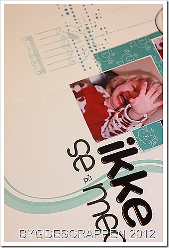 IMG_1312 IMG_1312